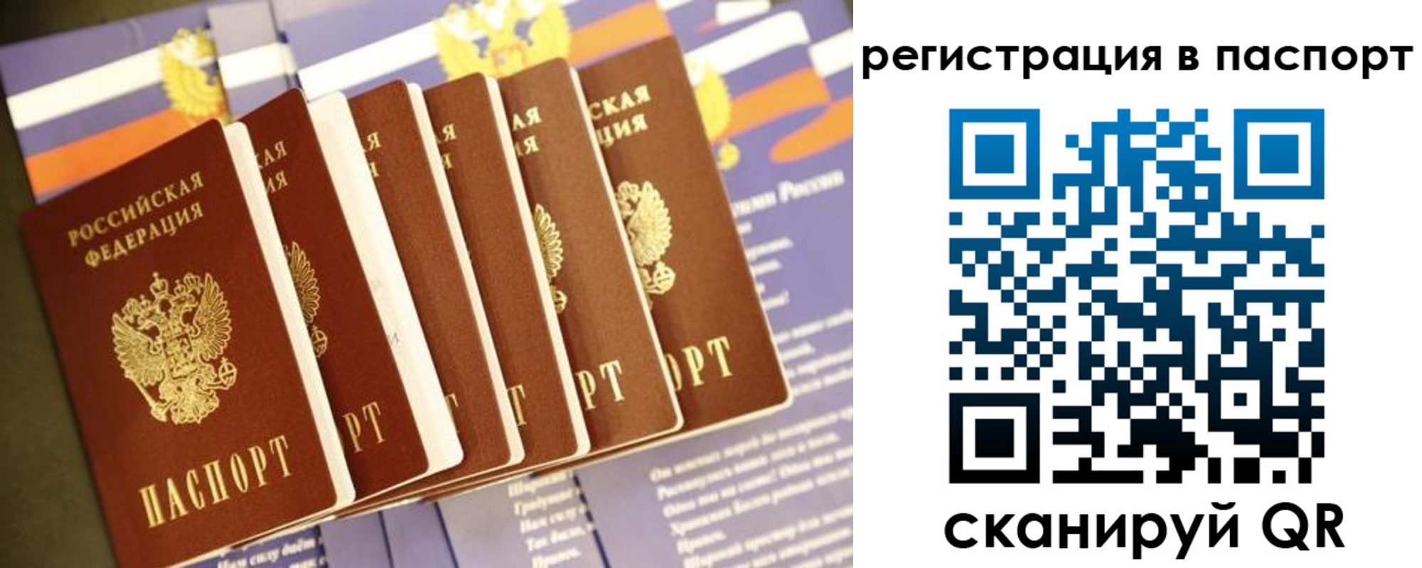 прописка ребенка в Невеле